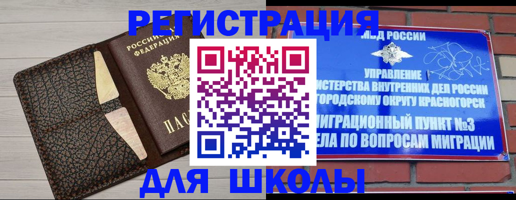 прописка в Борзе